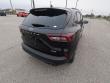 2025 Ford Escape ST-Line SUV