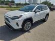 2025 Toyota RAV4 Limited SUV