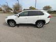 2025 Toyota RAV4 XLE SUV