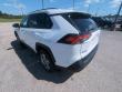 2025 Toyota RAV4 XLE SUV