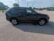 2025 Toyota RAV4 XLE SUV