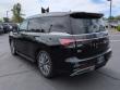 2025 INFINITI QX80 Luxe SUV