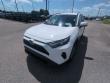 2025 Toyota RAV4 XLE SUV