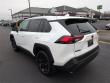 2020 Toyota RAV4 TRD Off Road SUV