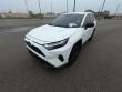 2024 Toyota RAV4 LE SUV