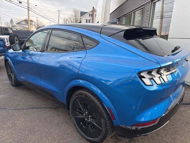 2025 Ford Mustang Mach-E GT - Photo 8