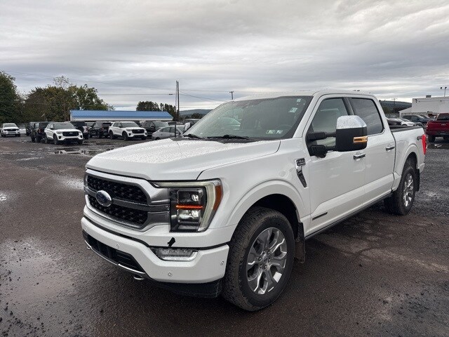 2022 Ford F-150 Platinum photo 2