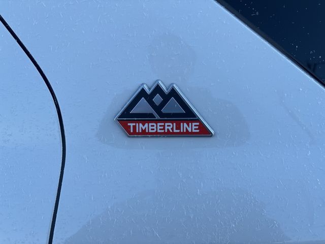 2022 Ford Explorer TIMBERLINE - Photo 11