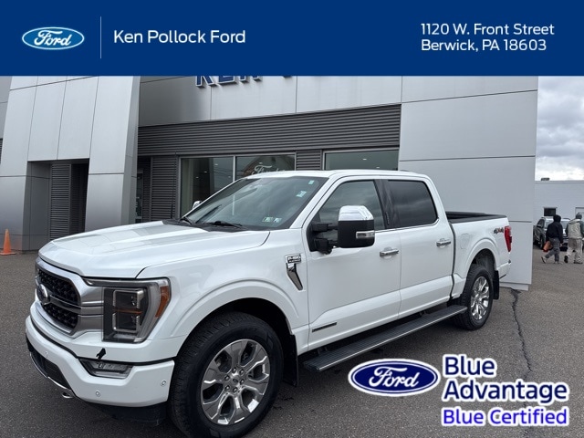 2022 Ford F-150 Platinum's photo