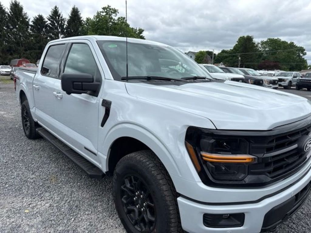 Certified 2025 Ford F-150 XLT Truck