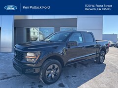2025 Ford F-150 STX Truck