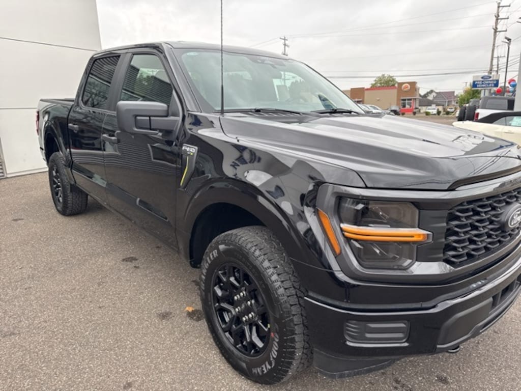 New 2025 Ford F-150 STX Truck