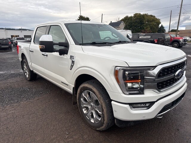 2022 Ford F-150 Platinum photo 4