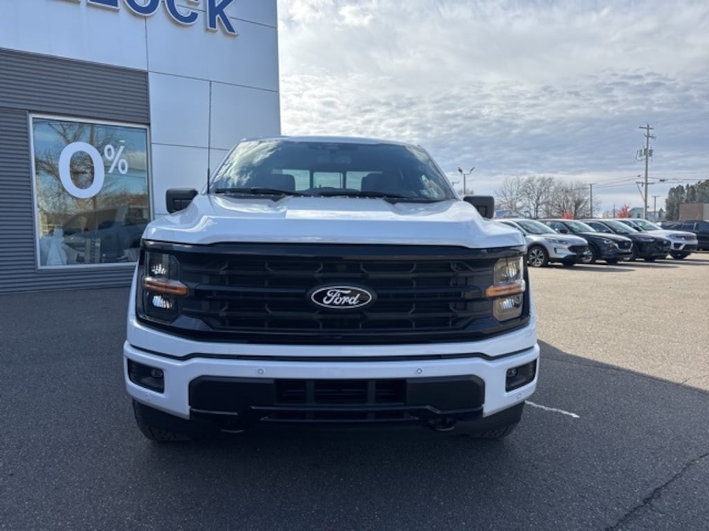 New 2025 Ford F-150 XLT Truck