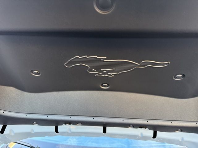 2025 Ford Mustang Mach-E Premium - Photo 16