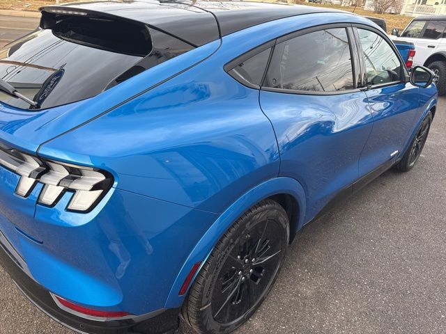 2025 Ford Mustang Mach-E GT - Photo 6
