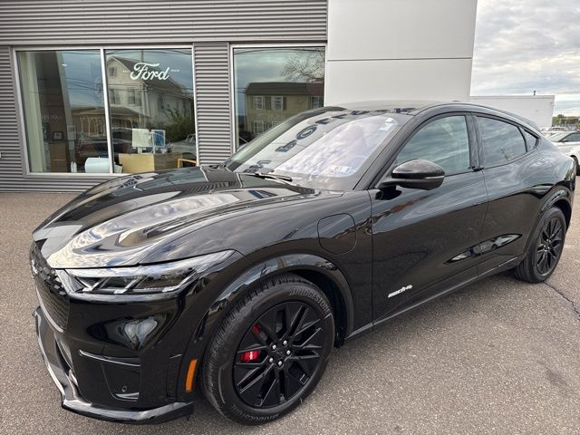 2025 Ford Mustang Mach-E Premium - Photo 10
