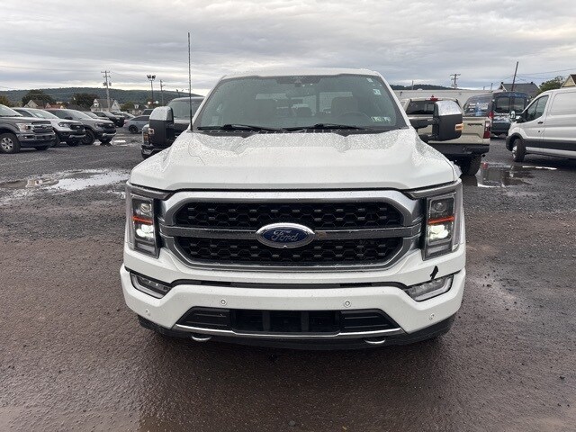 2022 Ford F-150 Platinum photo 3