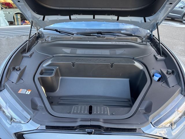 2025 Ford Mustang Mach-E Premium - Photo 15