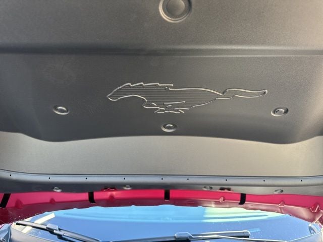 2025 Ford Mustang Mach-E Premium - Photo 13