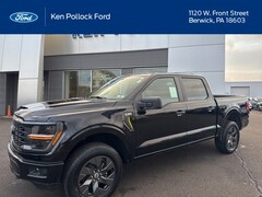 2025 Ford F-150 STX Truck