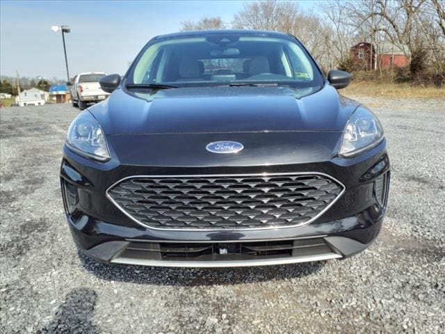 Certified 2022 Ford Escape SE with VIN 1FMCU9G64NUA39962 for sale in Martinsburg, WV