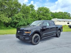 2025 Ford F-150 XLT Truck
