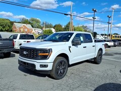 2025 Ford F-150 STX Truck