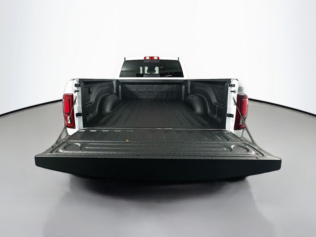 Ram350015