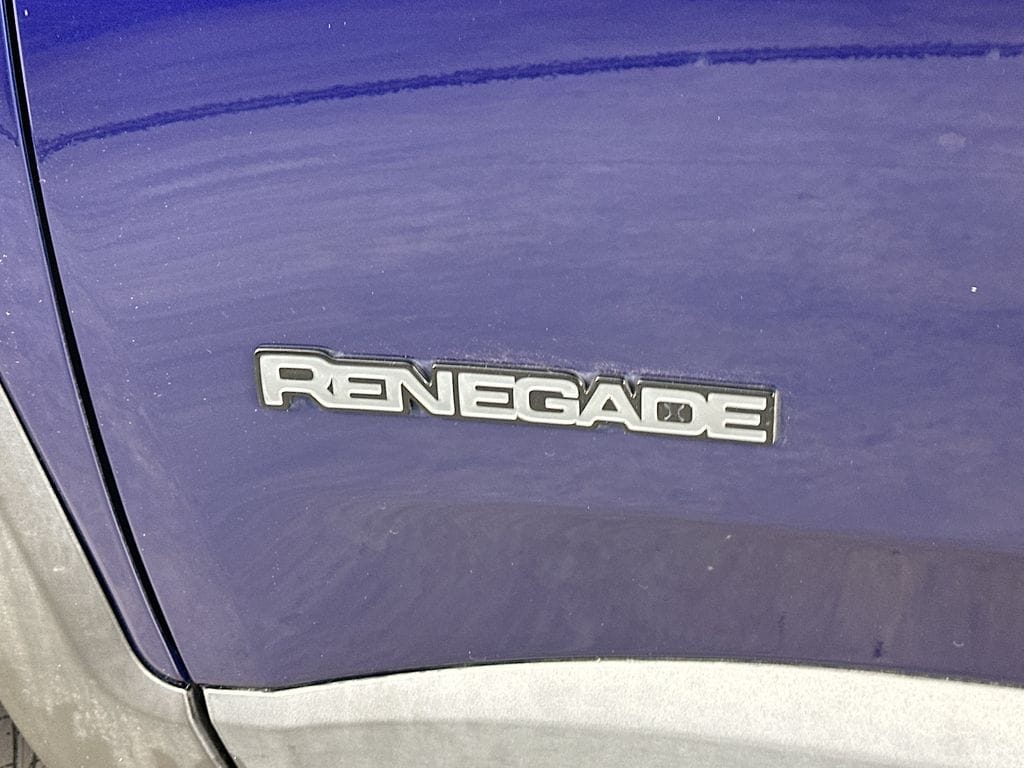 JeepRenegade29