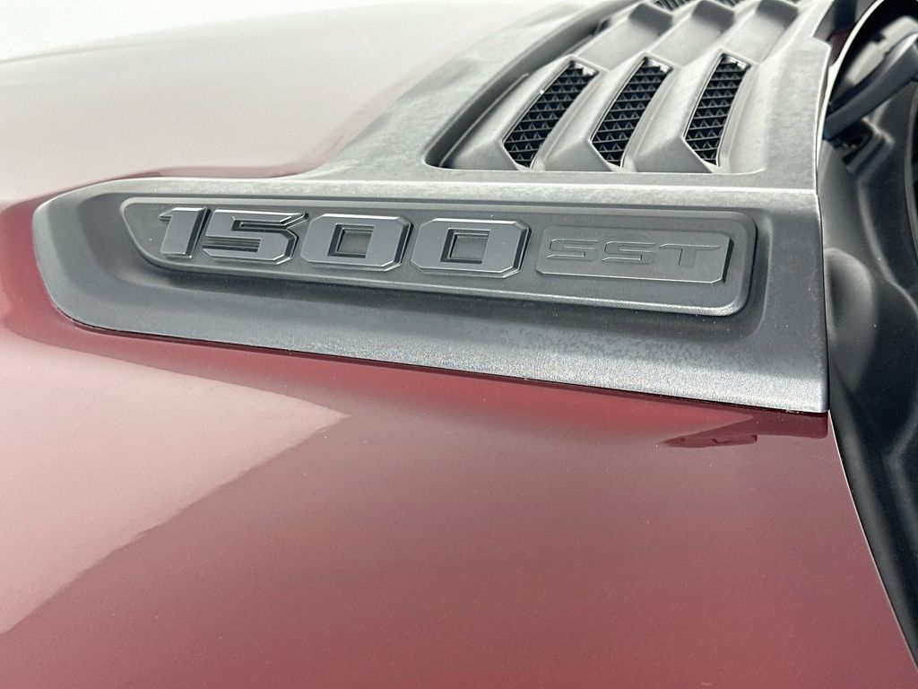 Ram150028