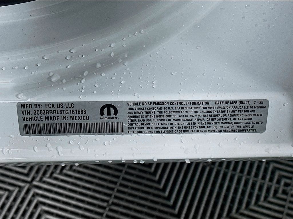 Ram350019