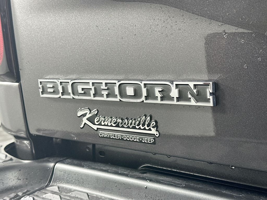 Ram250021