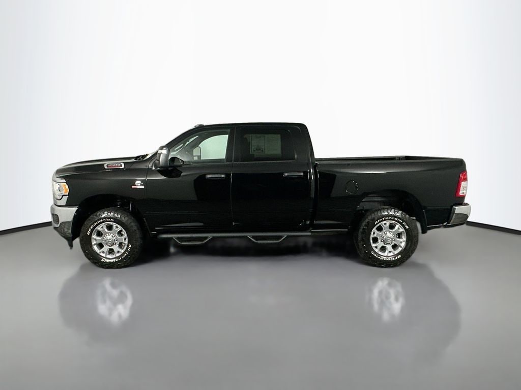 Ram35004