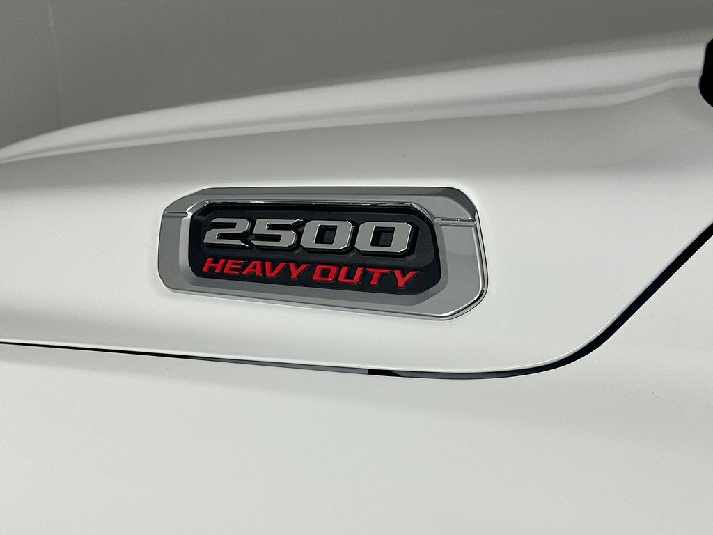 Ram250028