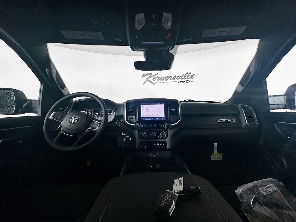 Ram15009