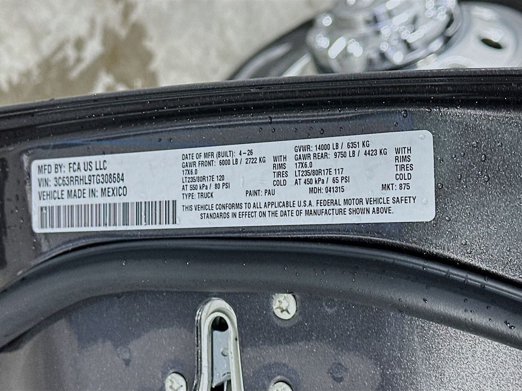 Ram350019