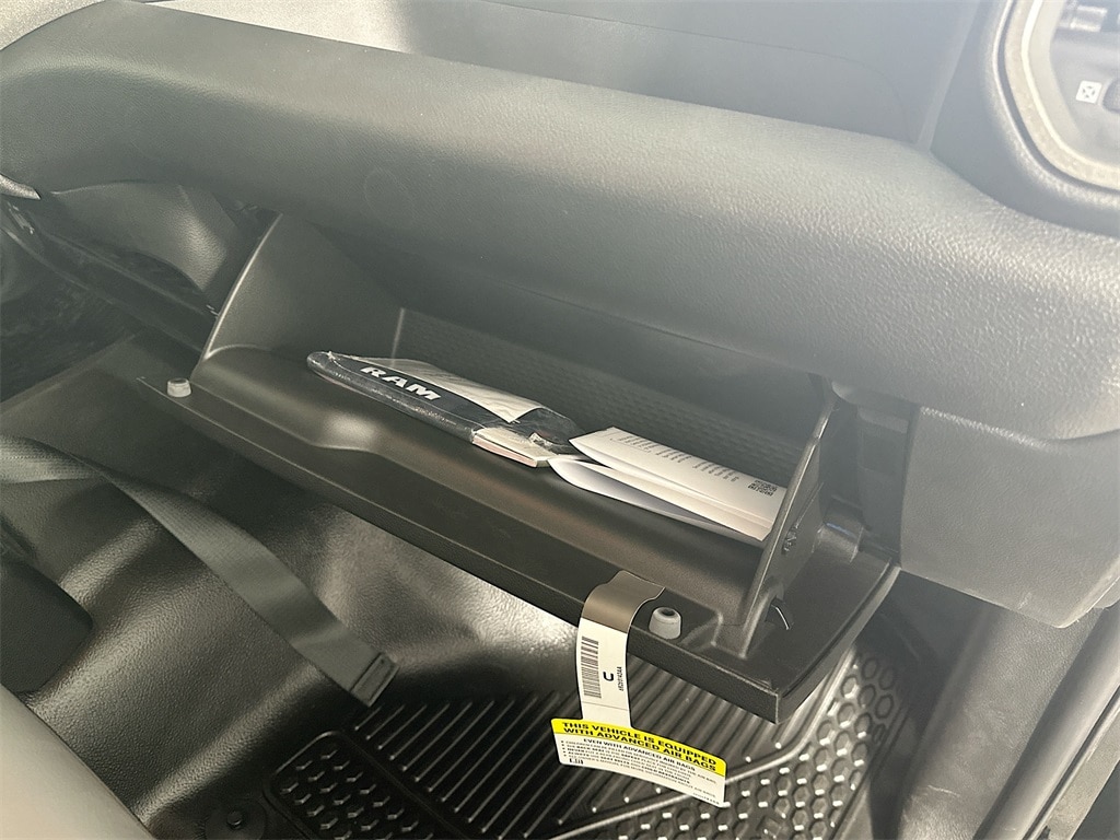 Ram250019
