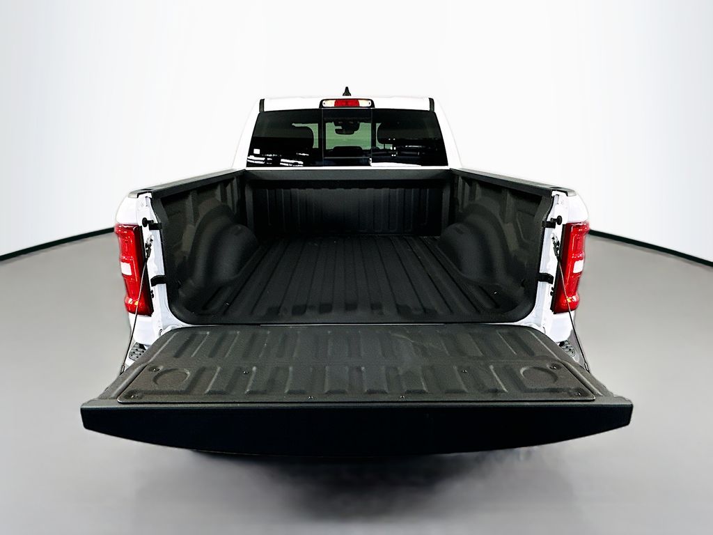 Ram150029
