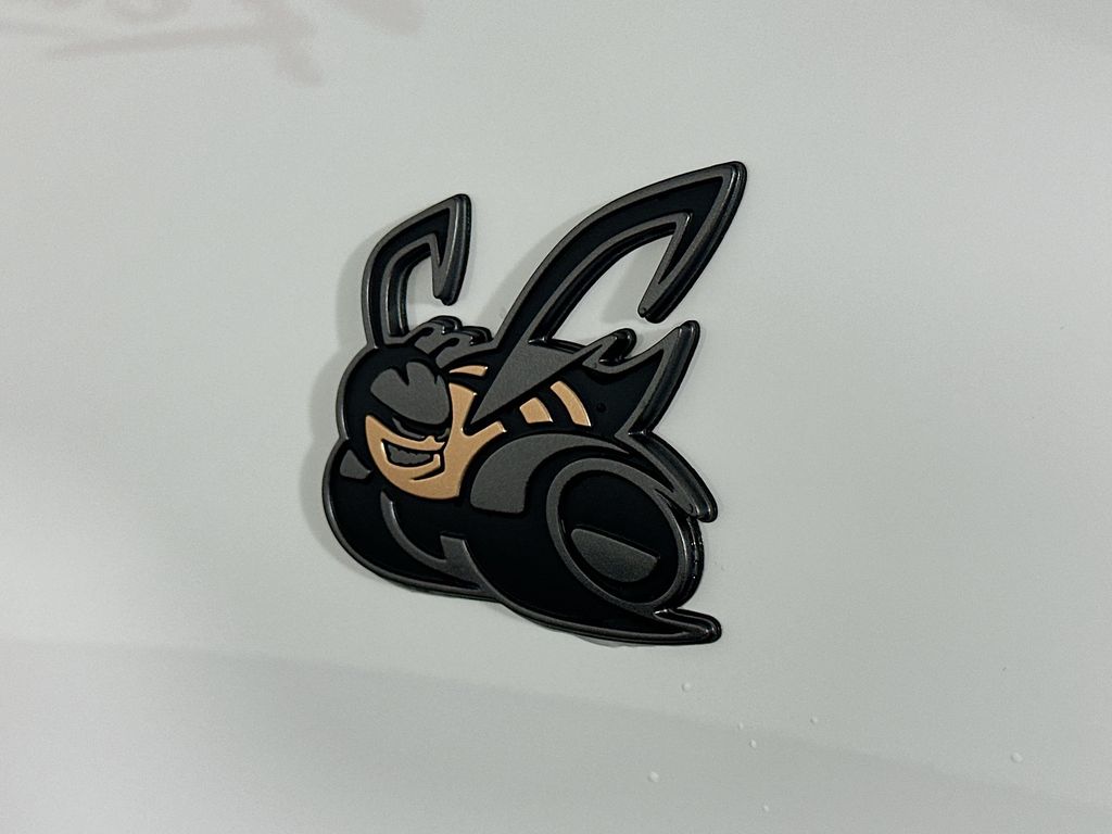DodgeCharger22