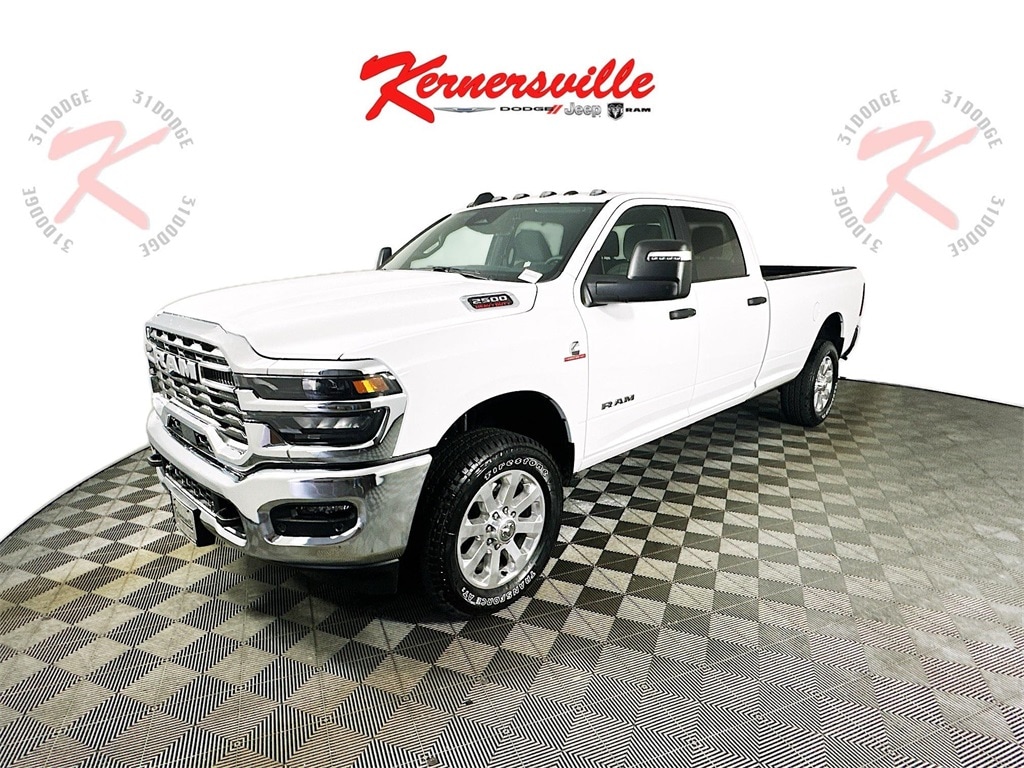 Ram25003