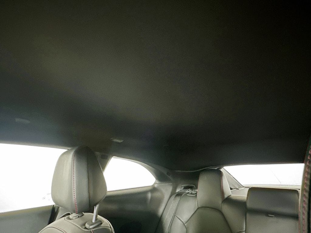 DodgeCharger14