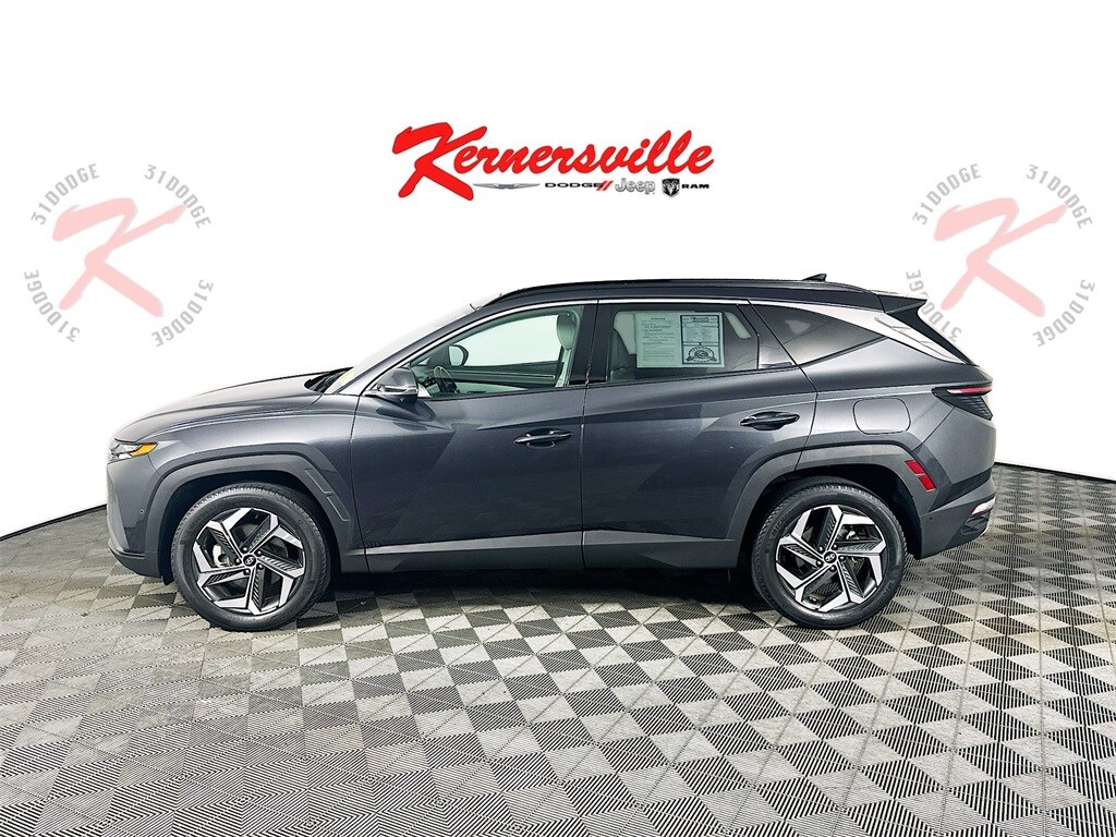 2024 Hyundai Tucson Limited photo 4