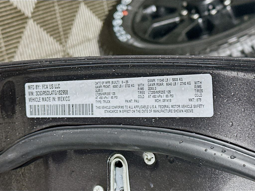Ram250019