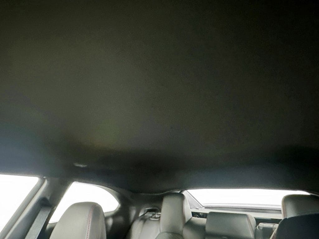 DodgeCharger14