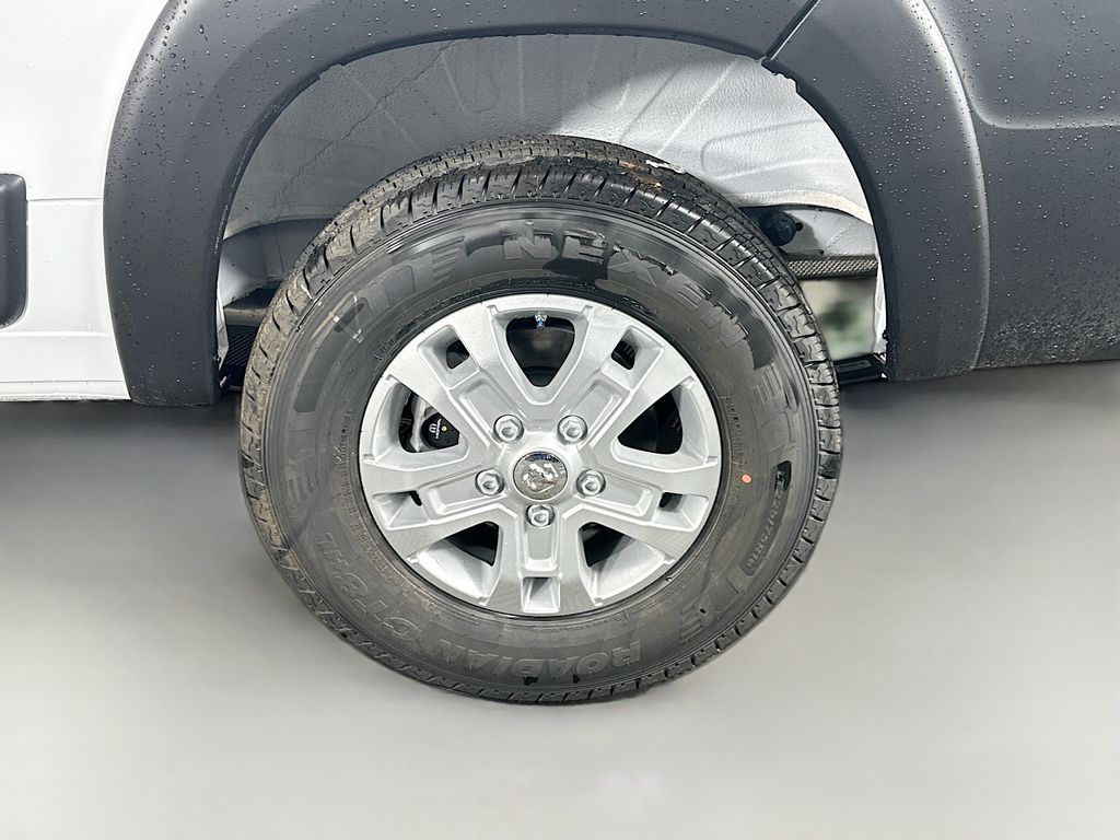 RamPromaster 250017