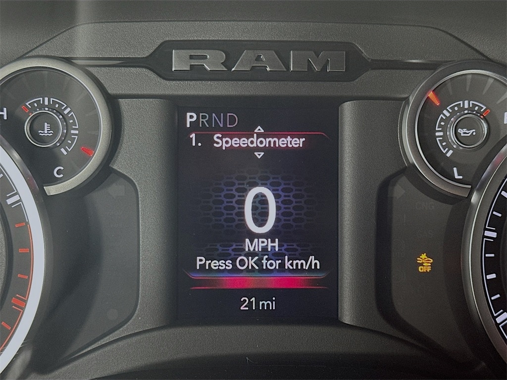 Ram350011