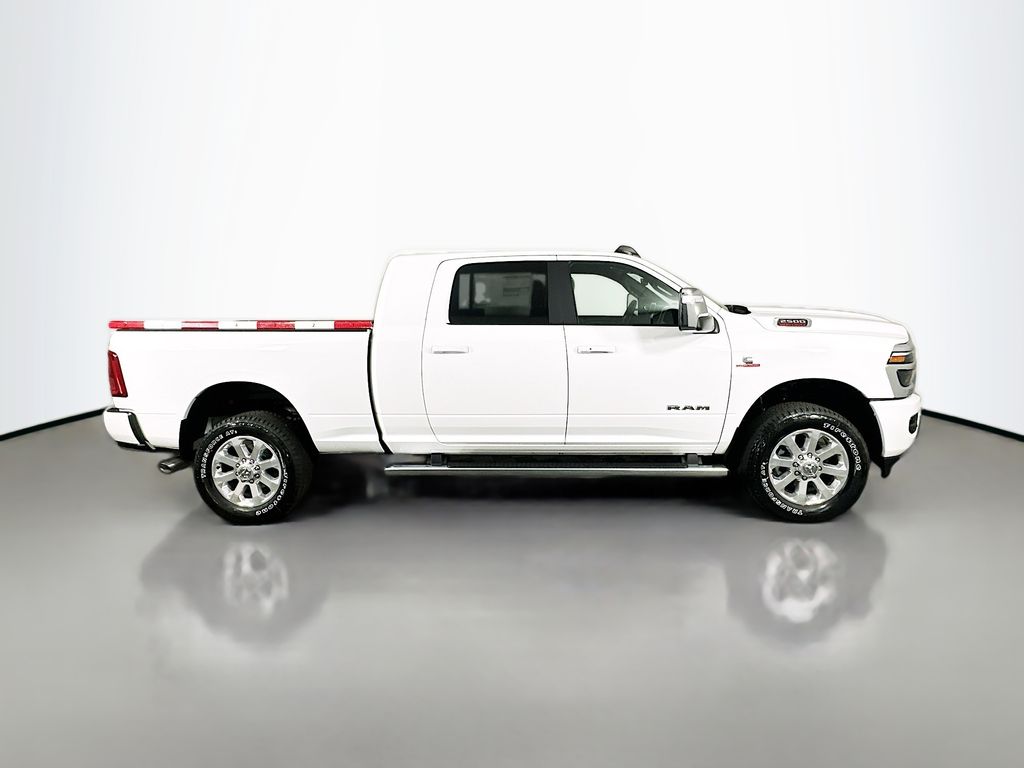Ram25009