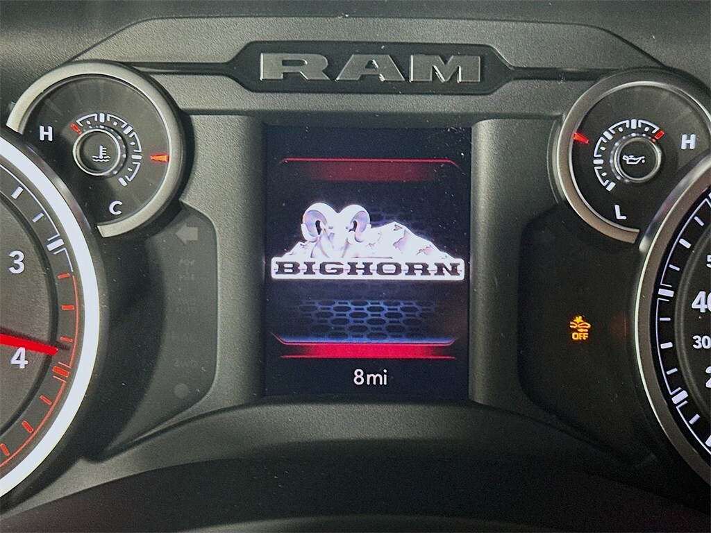 Ram350011
