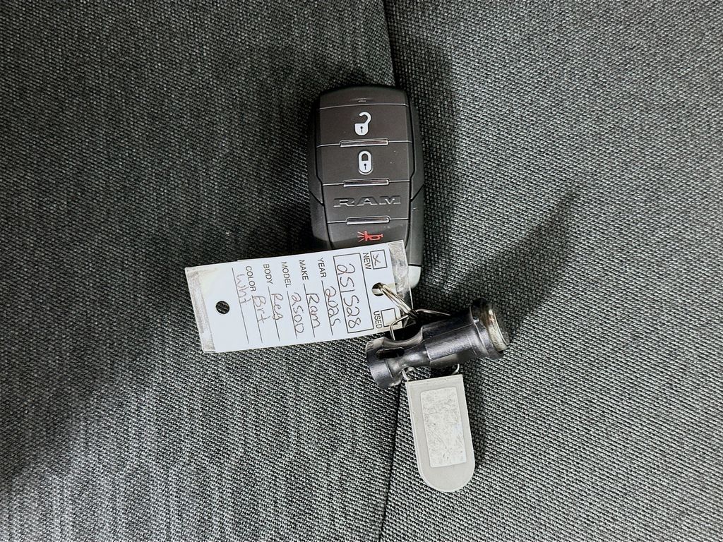 Ram250020